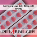 Kamagra Oral Jelly Sildenafil 100Mg 19